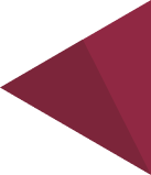 Icon Image 2